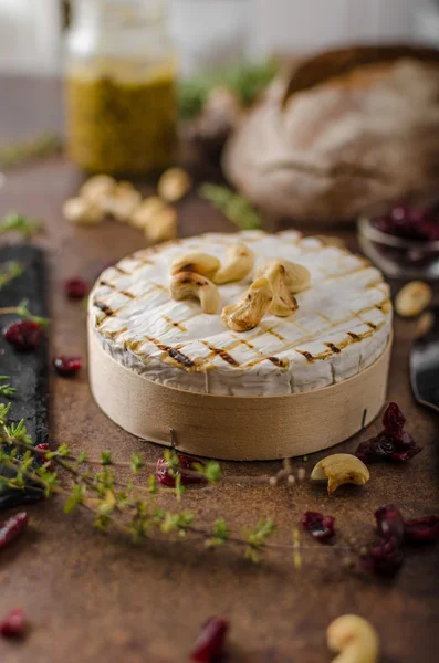 Queijo de camembert grelhado — Fotografia de Stock