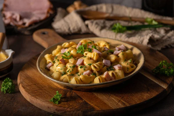 Delicosa Pasta Con Salsa Queso Hierbas Orgánicas —  Fotos de Stock