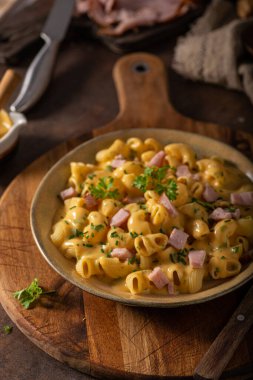 Peynir soslu ve organik otlu lezzetli bir makarna.