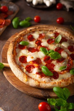 Sıcak salamlı, parmesanlı ve taze fesleğenli lezzetli pizza.