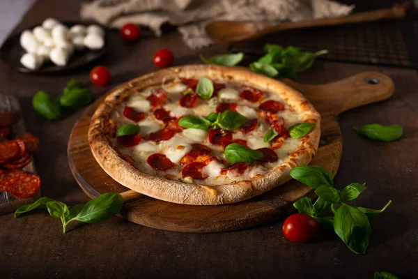 ホットサラミとおいしいピザ パルメザンチーズと新鮮なバジル — ストック写真