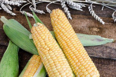 ahşap masa üzerinde ham Mısır