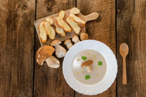 Creme de sopa de cogumelos — Fotografia de Stock