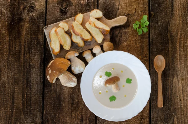 Crema de sopa de champiñones —  Fotos de Stock