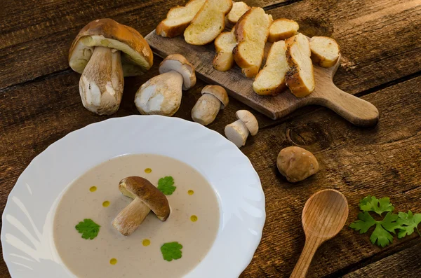 Mushrooms soup creame — Stock Photo, Image