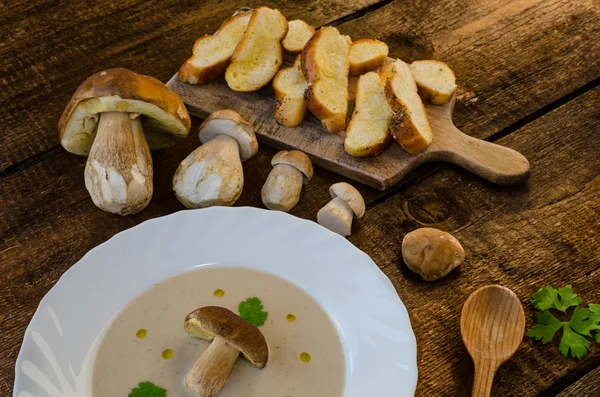 Champignons-Suppencreme — Stockfoto