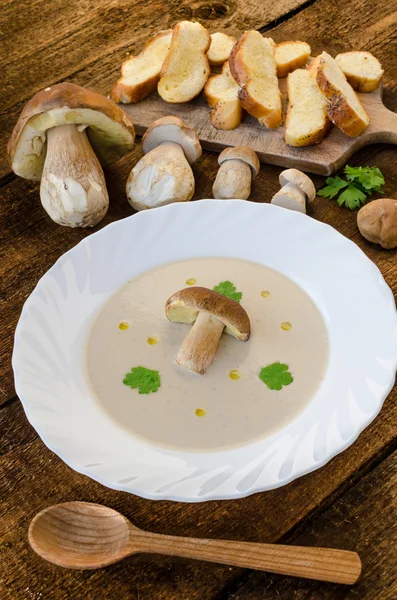 Champignons-Suppencreme — Stockfoto