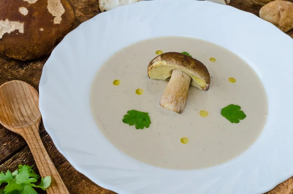 Cremă de supă de ciuperci — Fotografie, imagine de stoc