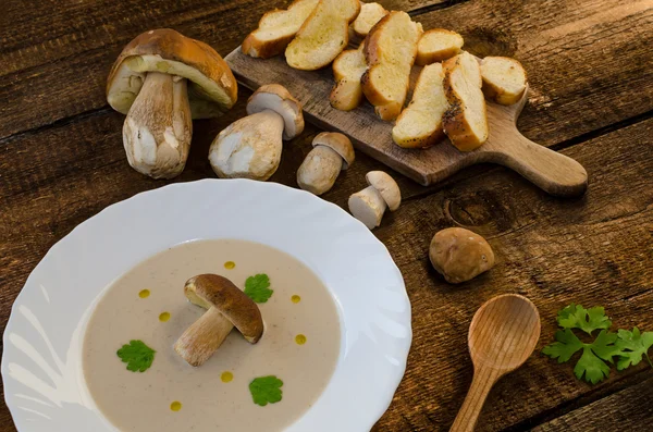 Mushrooms soup creame — Stock Image Mushrooms soup creame Stock Photo