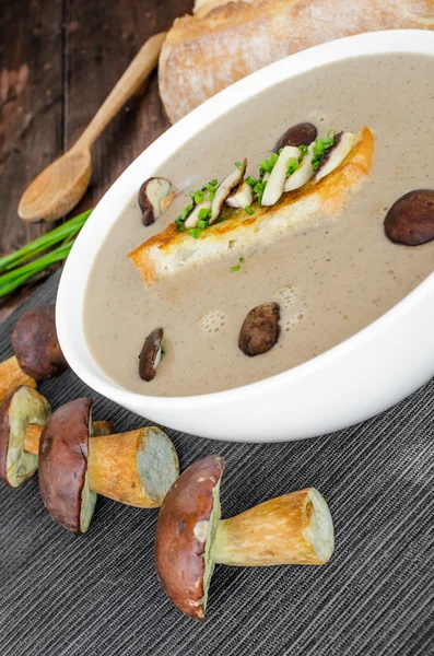 Mushroom cream soup with toast and fresh herbs — Stock Photo, Image