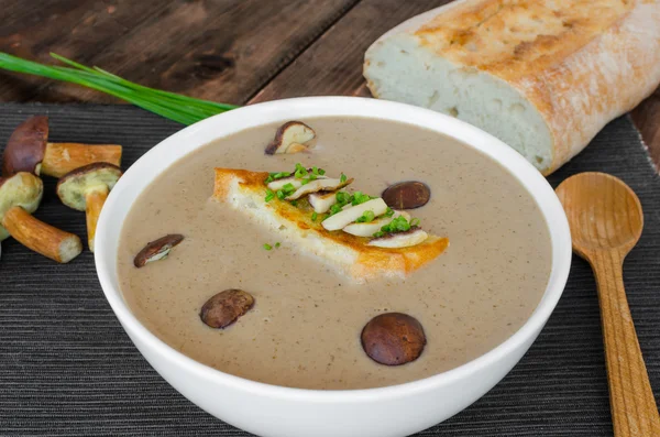 Mushroom cream soup with toast and fresh herbs — Stock Photo, Image