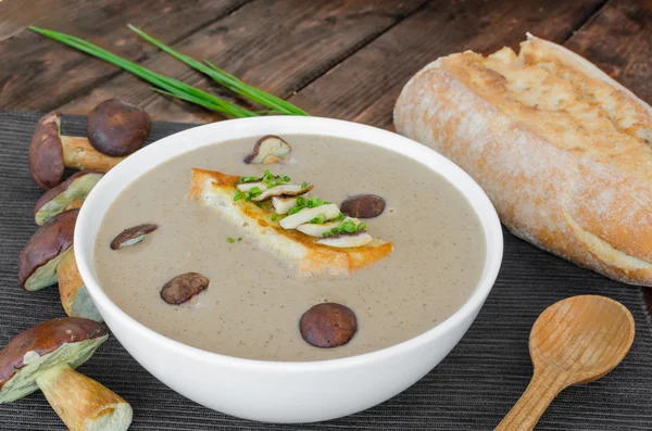 Mushroom cream soup with toast and fresh herbs — Stock Photo, Image