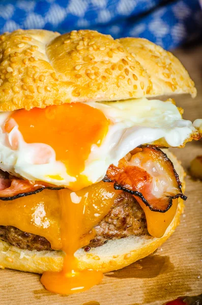 Homemade burger with fried egg and spicy fries — Stock Photo, Image