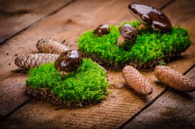 Mantar ormandan seçmişsin