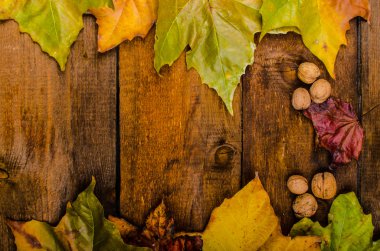 Ahşap tahta üzerinde sonbahar yaprakları