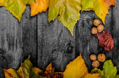 Ahşap tahta üzerinde sonbahar yaprakları