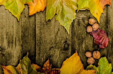 Ahşap tahta üzerinde sonbahar yaprakları