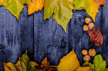 Ahşap tahta üzerinde sonbahar yaprakları