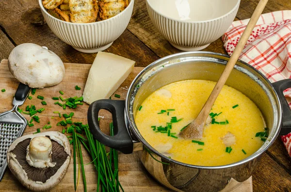 Creame houbová polévka s bylinkami a toasty — Stock fotografie