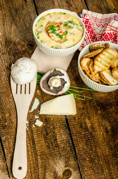 Crema di funghi zuppa con erbe e pane tostato — Foto Stock