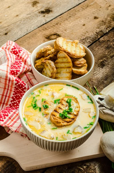Mushroom creame soup with herbs and toasts — Stock Image Mushroom creame soup with herbs and toasts Stock Picture