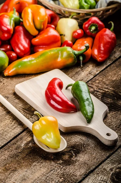 Bio peppers from the garden — Stock Photo, Image