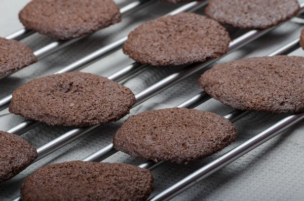 Dark chocolate biscuits — Stock Photo, Image