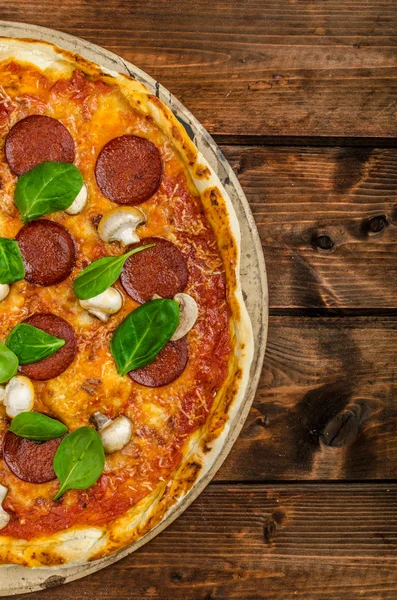 Rustic pizza with salami, mozzarella and spinach — Stock Photo, Image