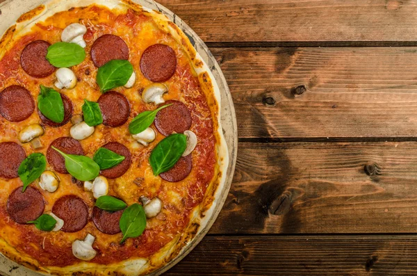 Rustic pizza with salami, mozzarella and spinach — Stock Photo, Image