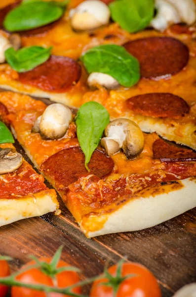 Rustic pizza with salami, mozzarella and spinach — Stock Photo, Image