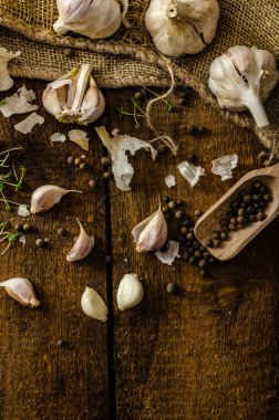 Yerli biyo sarımsak - çek, baharat ve taze microgreens aile içi biyo sarımsak