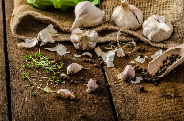 Domestic bio garlic - Czech, spices and fresh microgreens Domestic bio garlic — Stock Photo, Image