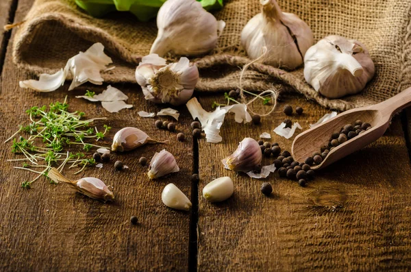 Domestic bio garlic - Czech, spices and fresh microgreens Domestic bio garlic — Stock Photo, Image