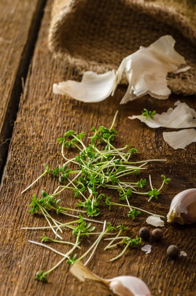 Domestic bio garlic - Czech, spices and fresh microgreens Domestic bio garlic — Stock Photo, Image