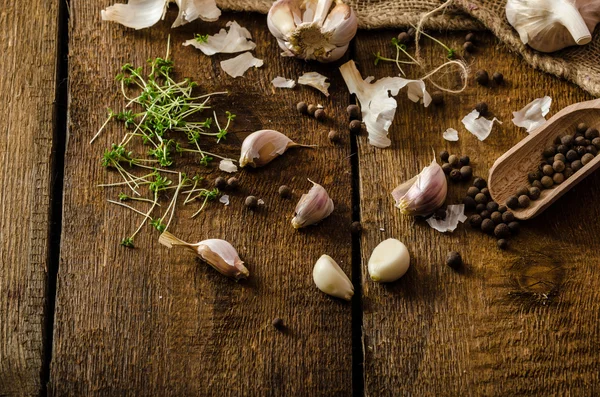 Domestic bio garlic - Czech, spices and fresh microgreens Domestic bio garlic — Stock Photo, Image