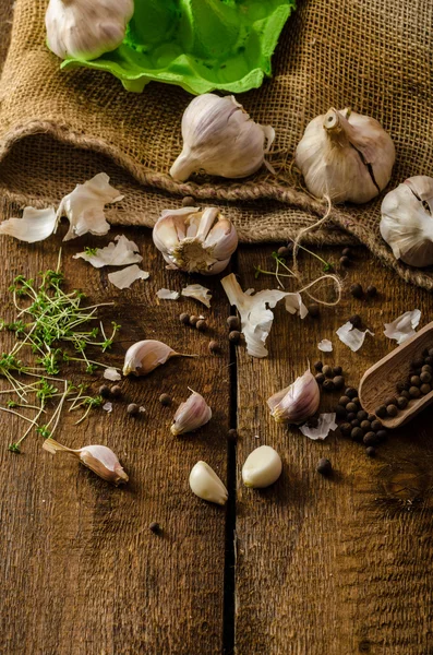 Domestic bio garlic - Czech, spices and fresh microgreens Domestic bio garlic — Stock Photo, Image