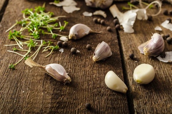 Domestic bio garlic - Czech, spices and fresh microgreens Domestic bio garlic — Stock Photo, Image