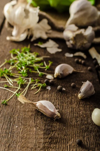 Domestic bio garlic - Czech, spices and fresh microgreens Domestic bio garlic — Stock Photo, Image