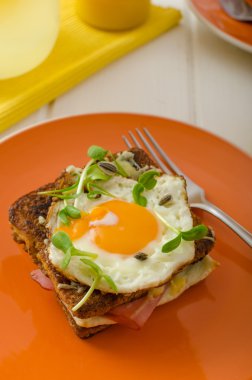 Croque Madame - Fransız tost pişmiş