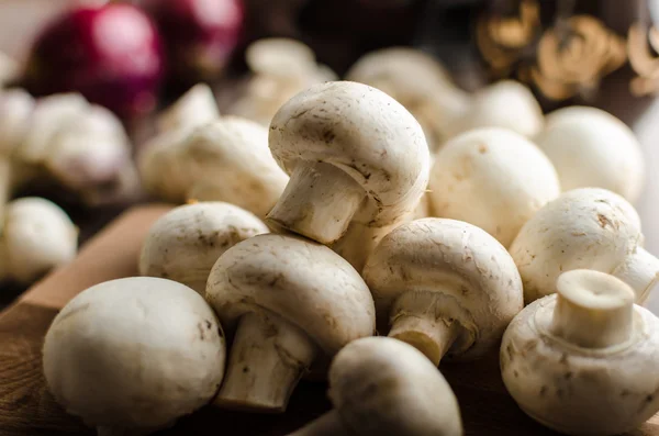 Mushrooms raw home-grown — Stock Photo, Image