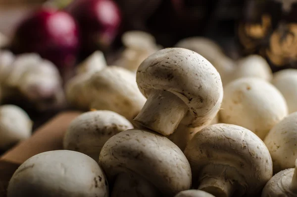 Mushrooms raw home-grown — Stock Photo, Image