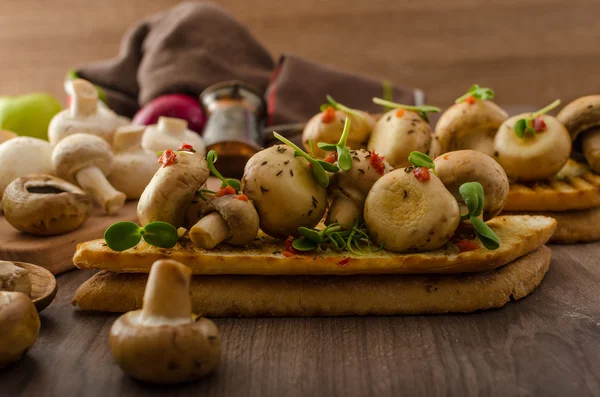 Setas silvestres en tostadas —  Fotos de Stock