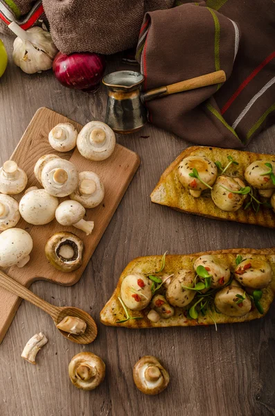 Wild mushrooms on toast — Stock Photo, Image