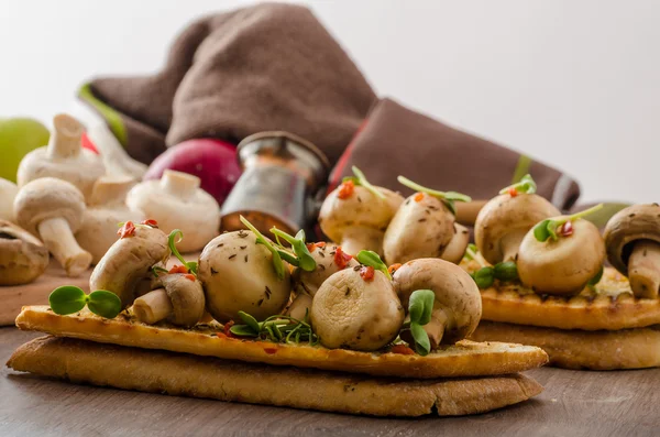 Wilde paddestoelen op toast — Stockfoto