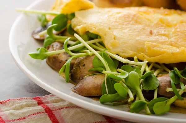 Mushroom and Microgreen Omelet — Stock Photo, Image