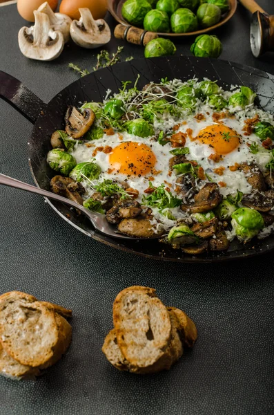 Vegetable omelet with bulls eye egg and sprouts — Stock Photo, Image