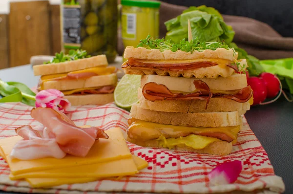 Sandwich Reuben con cavolo, manzo e condimento piccante — Foto Stock