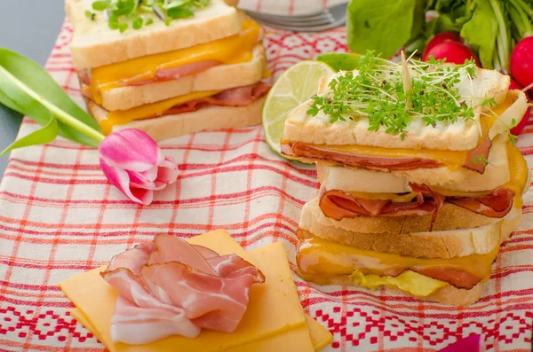 Sandwich de Rubén con repollo, ternera y aderezo picante — Foto de Stock