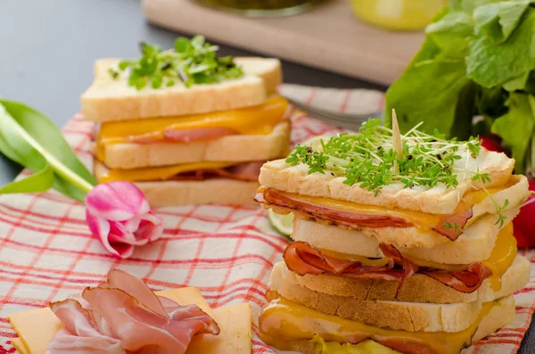 Reuben sandwich z kapusta, wołowiny i pikantny sos — Zdjęcie stockowe