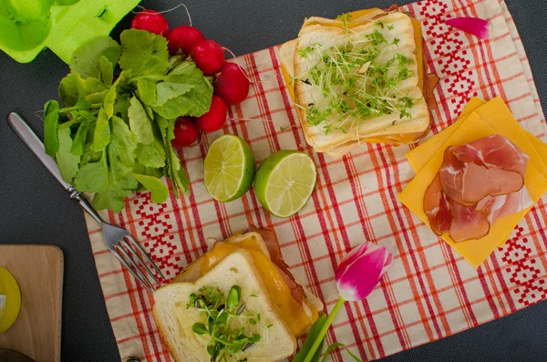Reuben sandwich z kapusta, wołowiny i pikantny sos — Zdjęcie stockowe